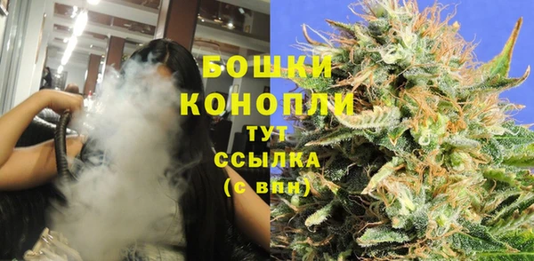 бошки Аркадак