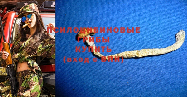 мет Арсеньев